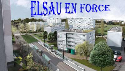 elsau en force
